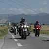 tarta07_0086