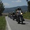 tarta07_0107