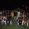 tarta_08_0088